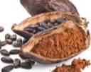 Cocoa Bean Extract